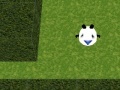 Spiel Panda Hates Mazes