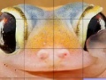 Spiel Pink frog slide puzzle