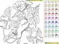 Spiel Kid's coloring: Flowers for Butterflies