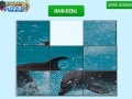 Spiel Dolphin Slider