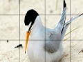 Spiel Orange beak bird slide puzzle