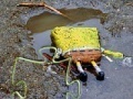 Spiel SpongeBob Found Dead Jigsaw Puzzle
