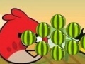 Spiel Angry Birds - cut the rope