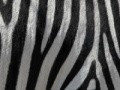 Spiel Jigsaw: Zebra Stripes
