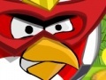 Spiel Angry Bird protect home