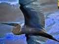 Spiel Flying Blue Stork: Puzzle