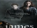 Spiel Twilight-James Jigsaw