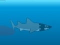 Spiel Medieval Shark
