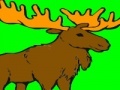 Spiel Deer coloring game