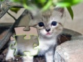 Spiel Jigsaw: Happy Kitty
