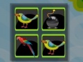 Spiel Bomb Memory-Birds