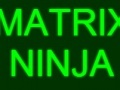 Spiel Matrix Ninja
