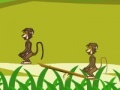 Spiel Baboon Duel