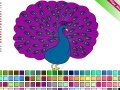 Spiel Peacock Coloring
