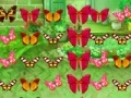Spiel Butterfly Match