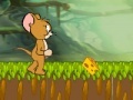 Spiel Tom and Jerry : Cheese Land