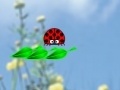 Spiel ladybug