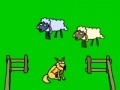 Spiel Sheep!