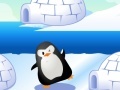 Spiel Find Penguin