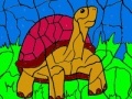 Spiel Turtle and ball coloring