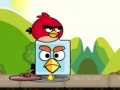Spiel Angry birds. Find your partner