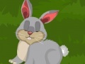 Spiel Dora Rabbit Care