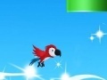Spiel Social parrot