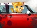 Spiel Ginger car wash