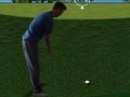 Spiel Flash Golf 3D