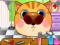 Spiel Doctor Cat Nose
