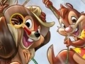 Spiel Chip and Dale hidden numbers