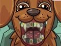 Spiel Pet Crazy Dentist