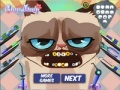 Spiel Grumpy cat. Dental care