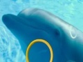 Spiel Dolphin Tale 2 Hidden Alphabets