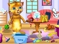 Spiel Ginger: Cleaning House