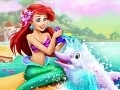 Spiel Ariel Dolphin Wash