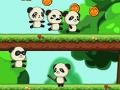 Spiel Panda Shock Troop 