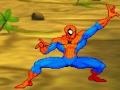 Spiel Spiderman: Hero Training 