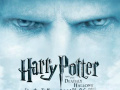 Spiel Harry Potter and the deathly Hallows Find the Numbers