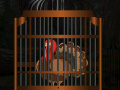 Spiel Thanksgiving Turkey Cage Escape