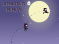 Spiel Amazing Ninja