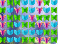 Spiel Butterfly Collector