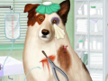 Spiel Doctor For Dog With a Blog