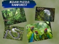 Spiel Jigsaw Puzzle Rain Forest 