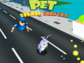 Spiel Pet Subway Surfers