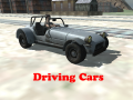Spiel Driving Cars