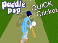 Spiel Paddle Pop Quick Cricket