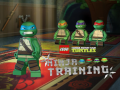 Spiel Teenage Mutant Ninja Turtles: Ninja Training