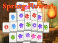 Spiel Spring Flower