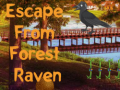 Spiel Escape from Forest Raven